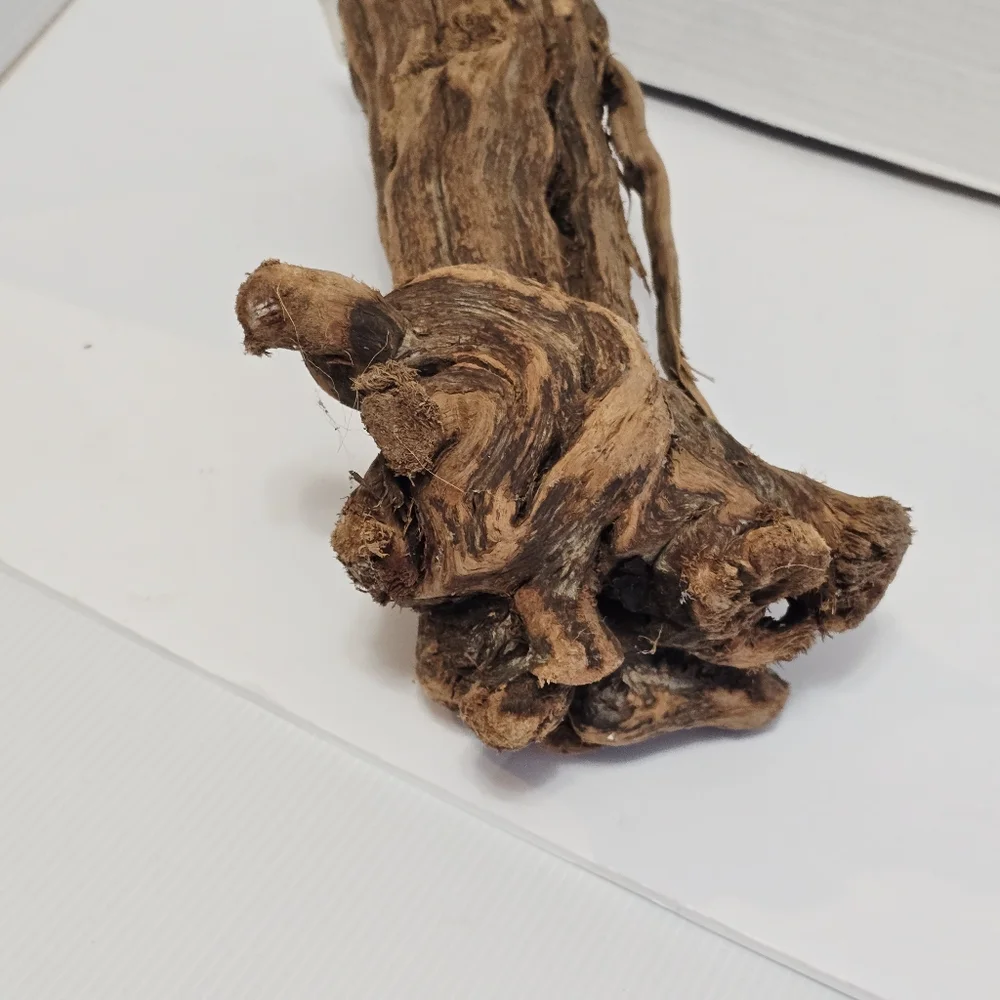 All Living Things Reptile Driftwood